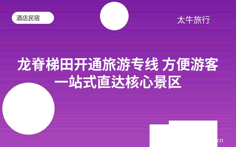 龙脊梯田开通旅游专线 方便游客一站式直达核心景区