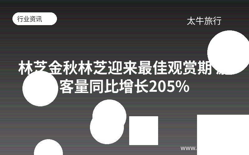 林芝金秋林芝迎来最佳观赏期 游客量同比增长205%