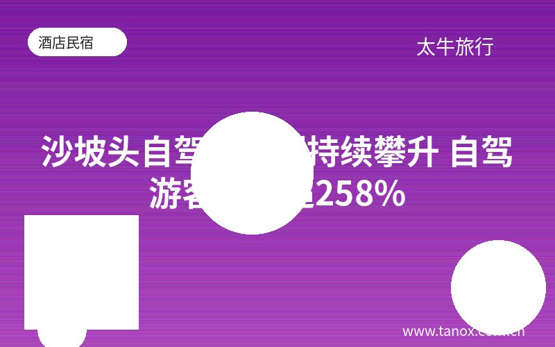 沙坡头自驾游比例持续攀升 自驾游客占比超258%