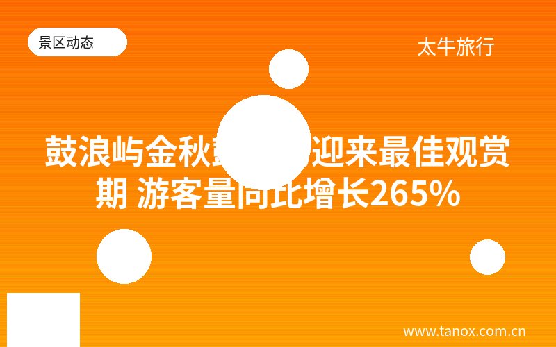 鼓浪屿金秋鼓浪屿迎来最佳观赏期 游客量同比增长265%