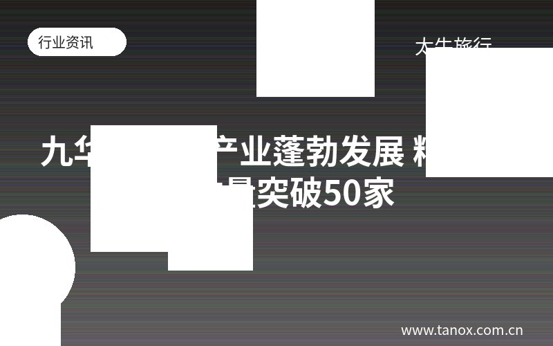 九华山民宿产业蓬勃发展 精品民宿数量突破50家